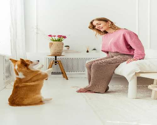 天津私人代怀,              天津武清区第二人民医院腹腔镜下输卵管切除手术费用多少？            