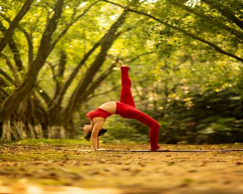 天津试管助孕公司,天津总医院试管哪家好,天津哪个医院试管婴儿做的好?!
